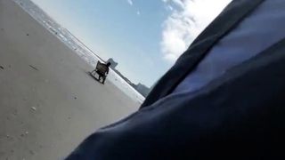 Wanking off on public beach-Big jizz Shot-Hairy cub