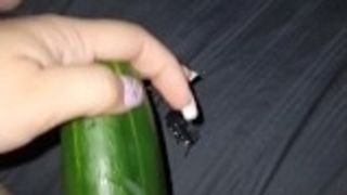 Fucking my tight pussy with long cucumber