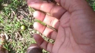 Pakinoon Got crazy While Visiting Garden For Guava, Masturbating A plenty of groan fapping And squirt